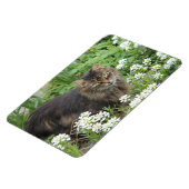 Hauskatze Magnet (Linke Seite)