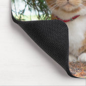 Hauskatze Orange Ginger Tabby Mousepad (Ecke)