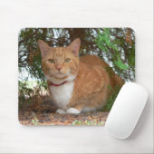 Hauskatze Orange Ginger Tabby Mousepad (Mit Mouse)