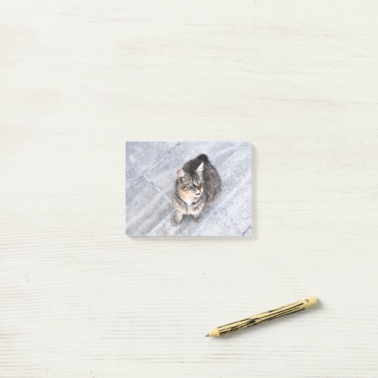Hauskatze Post-it Klebezettel (Auf Schreibtisch)