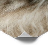 Hauskatze Poster (Ecke)