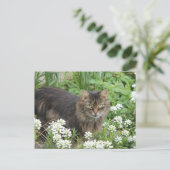 Hauskatze Postkarte (Stehend Vorderseite)