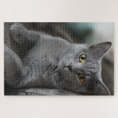Hauskatze-Puzzle Puzzle (Horizontal)