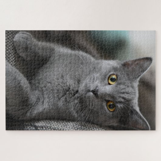 Hauskatze-Puzzle Puzzle (Horizontal)