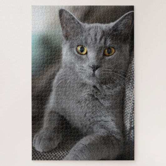 Hauskatze-Puzzle Puzzle (Vertikal)