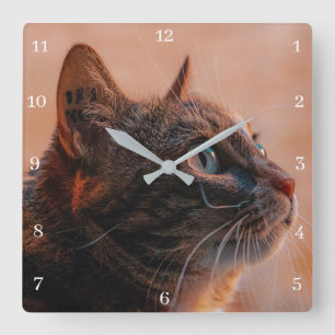 Hauskatze Quadratische Wanduhr