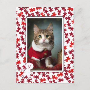 Hauskatze Weihnachten Persönliches Foto Gingerbrei
