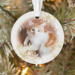 Hauskatze Weihnachten Weißer Ornament