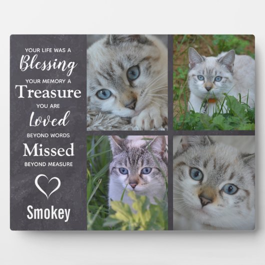 Hauskatzen-Gedächtnisgeschenk für Haustiere Beilei Fotoplatte (Vorderseite)