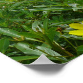 Hauskopfteich Poster (Ecke)