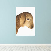 Hauslamm Leinwanddruck (Insitu (Holzboden))