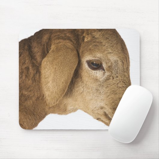 Hauslamm Mousepad (Mit Mouse)