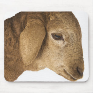 Hauslamm Mousepad