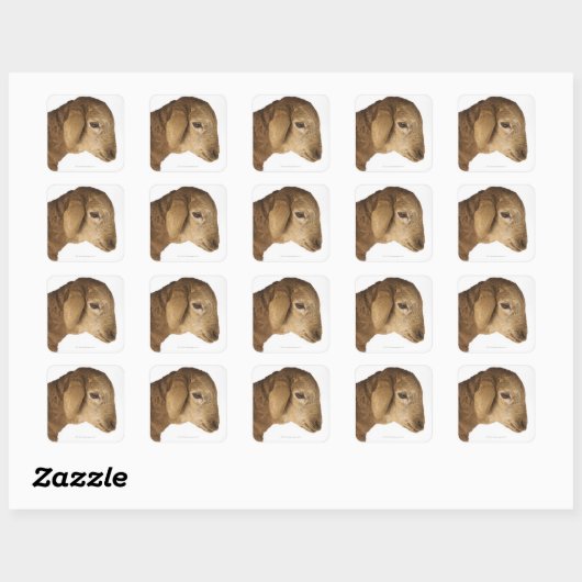 Hauslamm Quadratischer Aufkleber (Blatt)