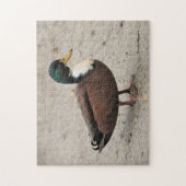 Häusliches Mallard Duclair Bibbed Odd Ente Puzzle (Vertikal)