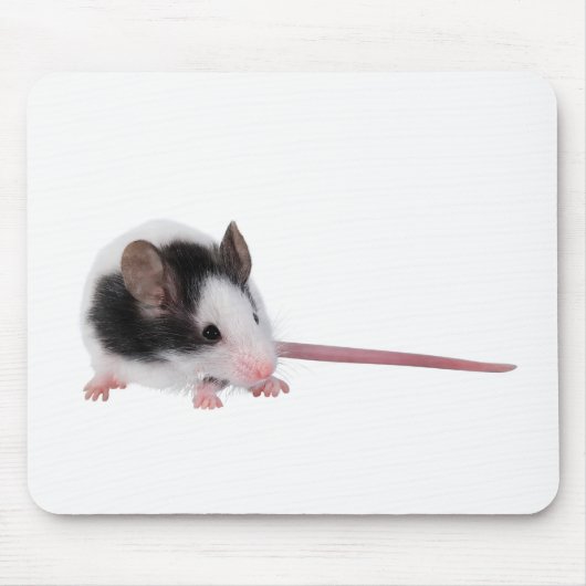 Hausmaus Mousepad (Vorne)