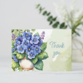 Hauspflanze Blumen Afrikanisches Veilchen Danke (Stehend Vorderseite)