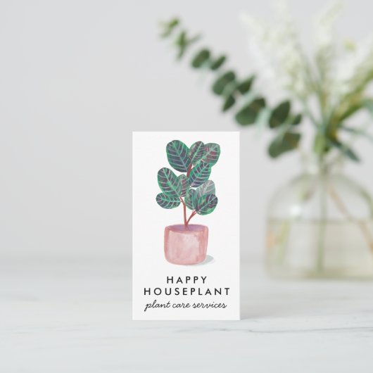 Hauspflanze Calathea Gebet Pflanze Gartenbau Sozia Visitenkarte (Stehend Vorderseite)