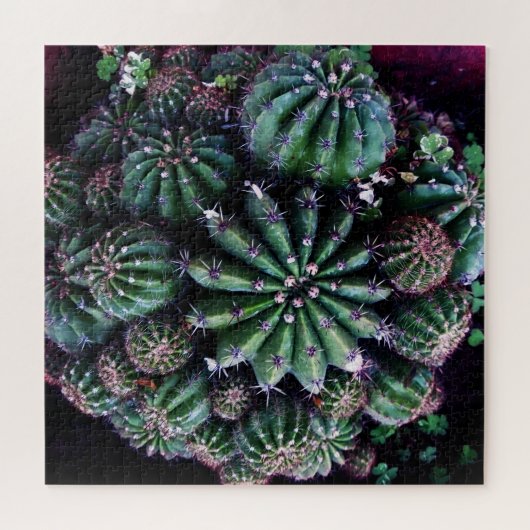 Hauspflanze Kaktus: Kinderzimmer Schönes Design Puzzle (Horizontal)