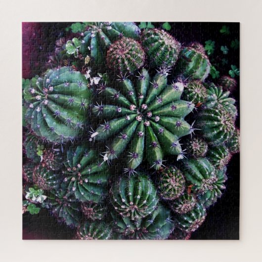Hauspflanze Kaktus: Kinderzimmer Schönes Design Puzzle (Vertikal)