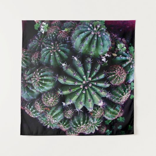 Hauspflanze Kaktus: Kinderzimmer Schönes Design Wandteppich (Vorderseite (Horizontal))