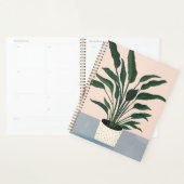 Hauspflanze Planer (Anzeige)