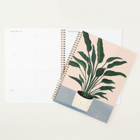 Hauspflanze Planer (Anzeige)