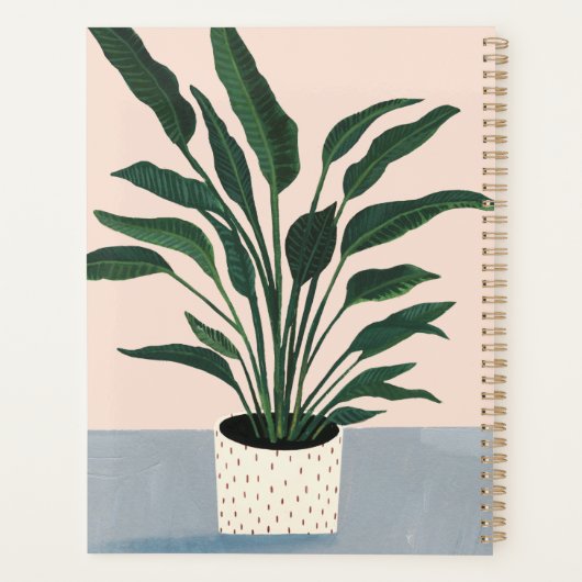 Hauspflanze Planer (Rückseite)