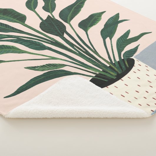 Hauspflanze Sherpadecke (3/4)