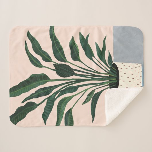 Hauspflanze Sherpadecke (Vorderseite (Horizontal))