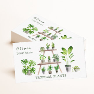 Hauspflanze und sukkuläre botanische Pflanze Visitenkarte