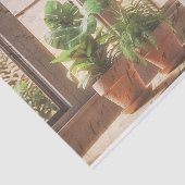 Hauspflanzen durch eine Fensterdekoupage Seidenpapier (Ausschnitt)