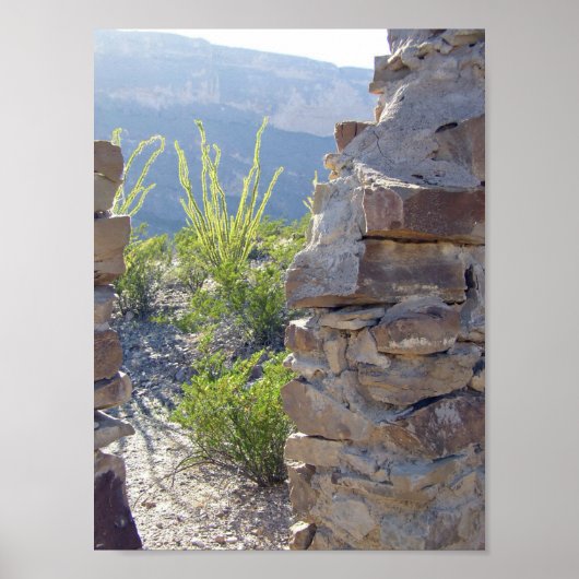Hausruine, Big Bend National Park, Texas Poster (Vorne)