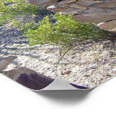 Hausruine, Big Bend National Park, Texas Poster (Ecke)