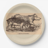 Hausschweine aus dem 19. Jahrhundert Pappteller (Vorderseite)