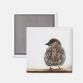 Hausspatronenfotografie Magnet (Vorderseite/Rückseite)