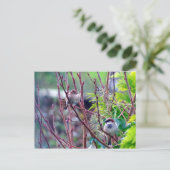 Hausspatwurst Postkarte (Stehend Vorderseite)