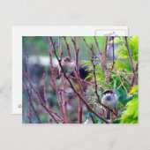 Hausspatwurst Postkarte (Vorne/Hinten)