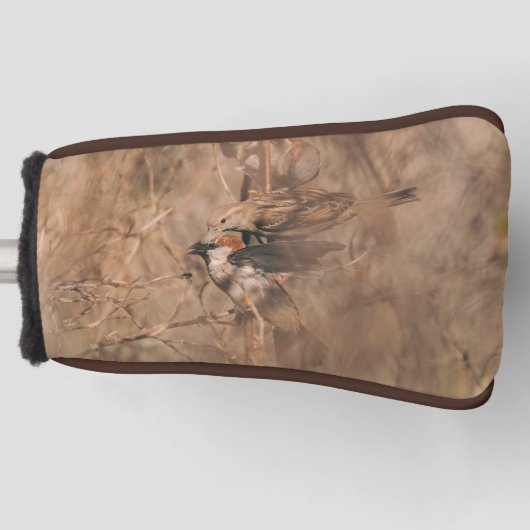 Haussperlinge in einem Frühlingsbusch Vogelbeobach Golf Headcover (Vorderseite)