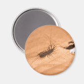 Hausspinne Magnet (Vorderseite/Rückseite)