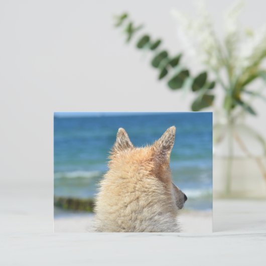Haustier am Strand | Meersand Postkarte (Stehend Vorderseite)