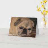 Haustier-Beileids-Karte Mops Karte (Gelbe Blume)