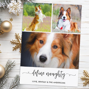 Haustier Definiere Unartig Hund Foto Collage Weihn Feiertagskarte