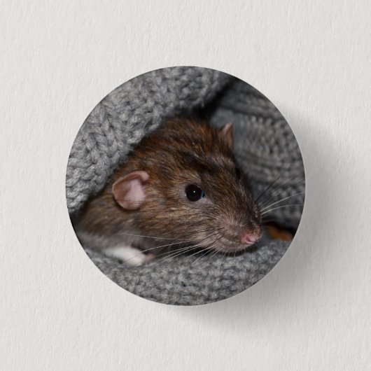 Haustier Dumbo Ratten-Knopf/Abzeichen Button (Vorderseite)