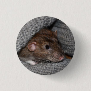 Haustier Dumbo Ratten-Knopf/Abzeichen Button