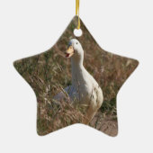 Haustier-Enten-Verzierung Keramik Ornament (Hinten)