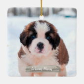 Haustier-ErinnerungsFoto-Verzierung Keramikornament (Rückseite)