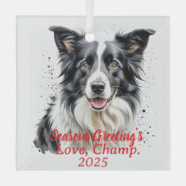 Haustier-Foto Border Collie Personalisieren Ornament Aus Glas