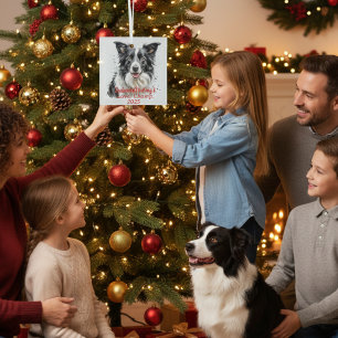 Haustier-Foto Border Collie Personalisieren Ornament Aus Glas