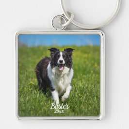 Haustier-Foto Border Collie Personalisieren Schlüsselanhänger